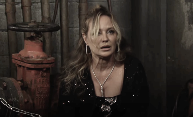 The Young and The Restless: Sharon Newman (Sharon Case)